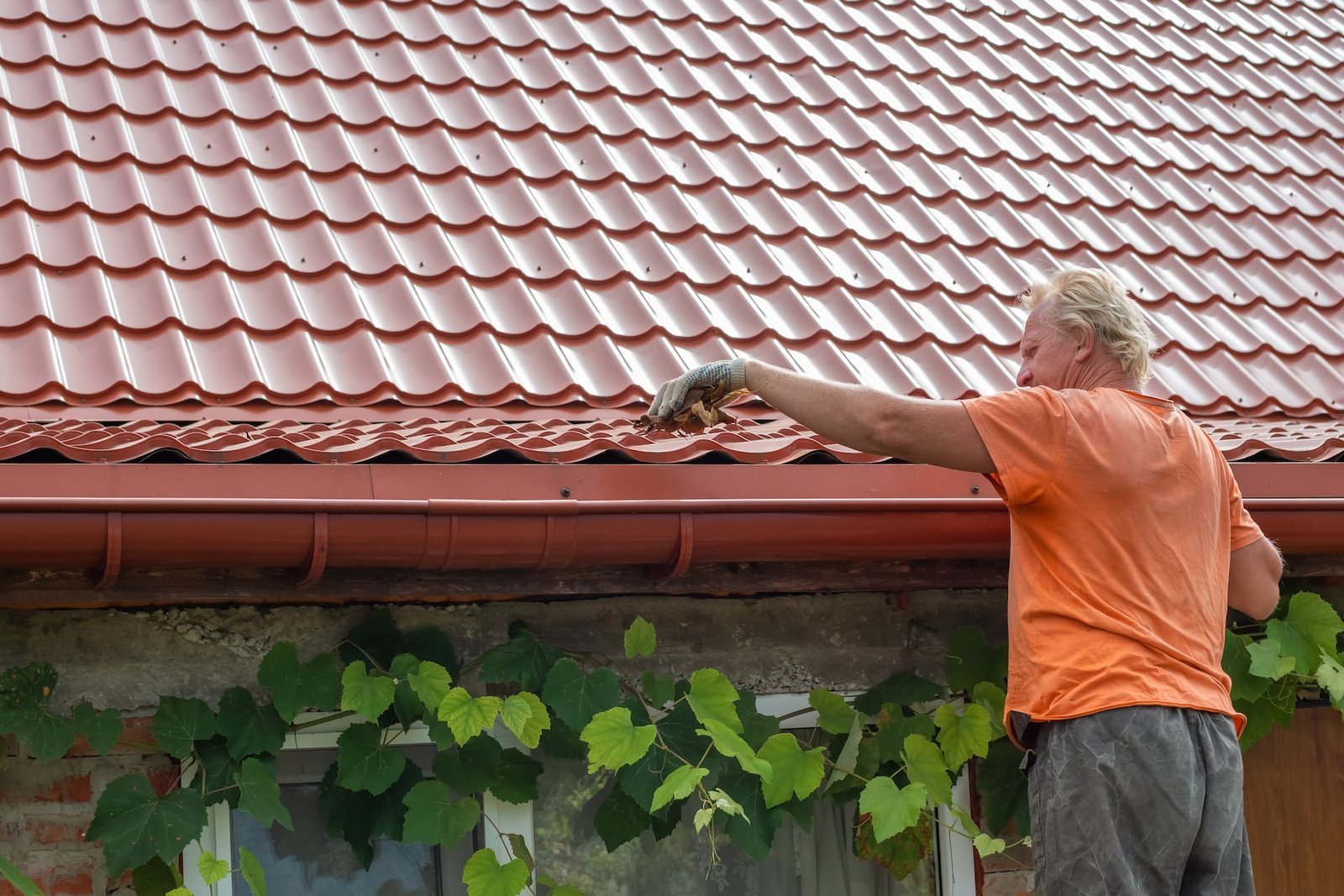 Essential Tips for Maintaining Your Residential Roof in Florida